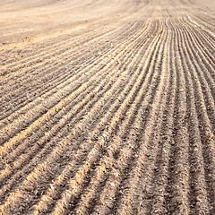 Image showing Furrows In A Field After Plowing It