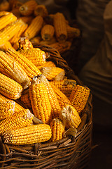 Image showing Fresh Corn