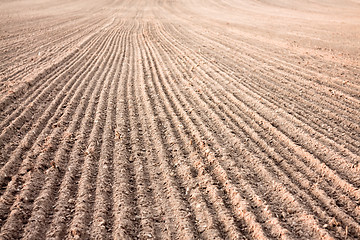 Image showing Furrows In A Field After Plowing It