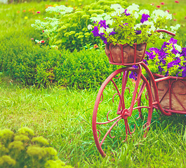 Image showing Decorative Bicycle In Garden 