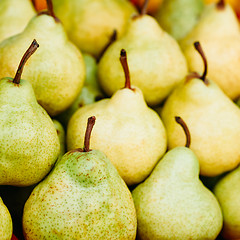 Image showing Green and yellow ripe pears background