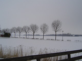 Image showing Holland in Winter 2