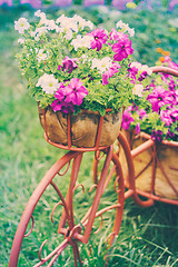 Image showing Decorative Bicycle In Garden 