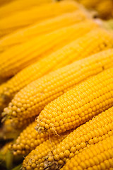 Image showing Fresh Yellow Corn Pile