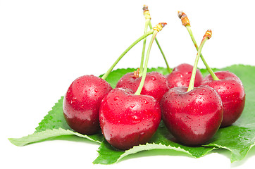 Image showing Wet ripe cherry berry fruits with water droplets