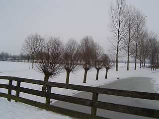 Image showing Holland in Winter 1