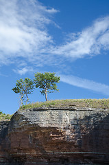 Image showing Two trees at the edge of a cliff formation