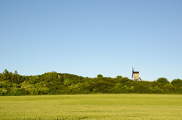 Image showing Old wooden windmill by a green wheat corn field