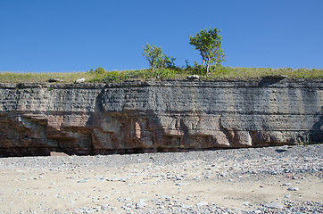 Image showing Trees at coastal cliff with clear blue sky
