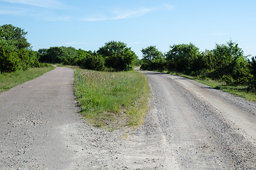 Image showing Choose the right way of two different country roads