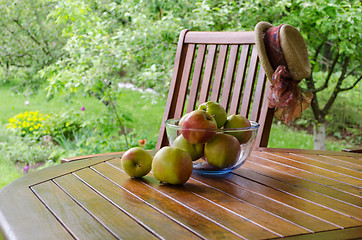 Image showing Apples in glass dish on bower table in garden 