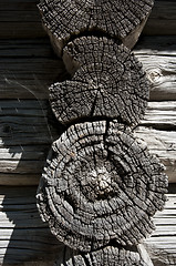 Image showing texture of old wood 