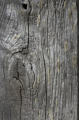 Image showing texture of old wood