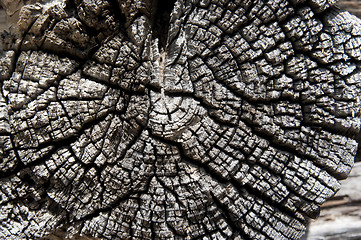 Image showing texture of old wood 