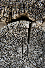 Image showing texture of old wood 