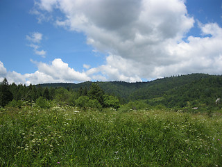 Image showing view to Carpathian mountains