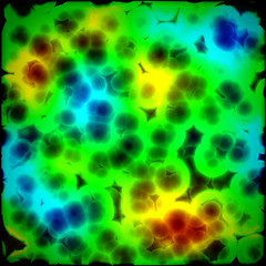 Image showing Bacteria cells close up