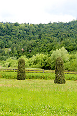 Image showing two big mows of hay