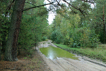 Image showing road with dirt and greater pool in the forest