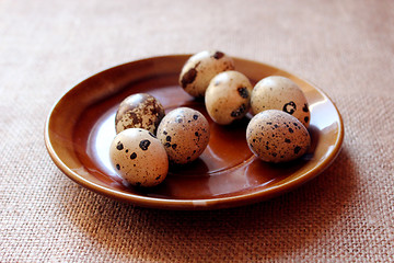 Image showing some eggs of the quail