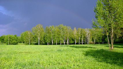 Image showing landscape with great rainy clouds and trees