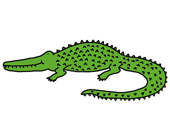 Image showing Smiling crocodile