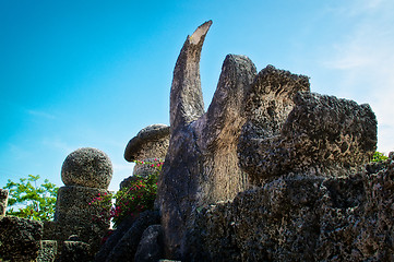 Image showing old castle wall carvings