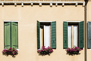 Image showing Venetian windows with flowers