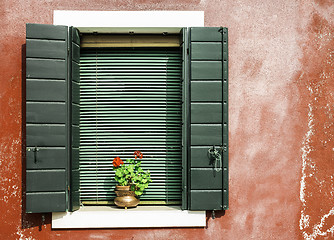 Image showing Venetian windows with flowers