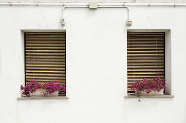 Image showing Venetian windows with flowers