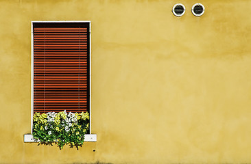 Image showing Venetian windows with flowers