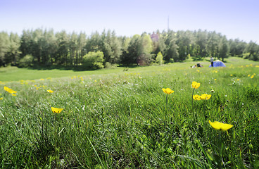 Image showing Green meadow in a forest and tent