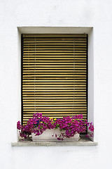 Image showing Venetian windows with flowers