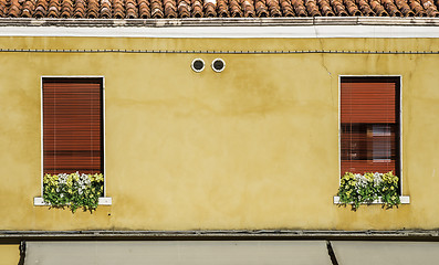 Image showing Venetian windows with flowers