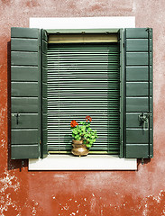 Image showing Venetian windows with flowers