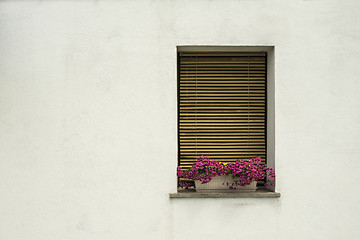 Image showing Venetian windows with flowers