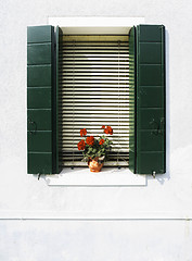 Image showing Venetian windows with flowers