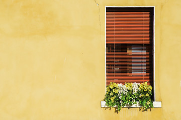 Image showing Venetian windows with flowers