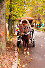 Image showing Brown horse-drawn wagon in the autumn alley