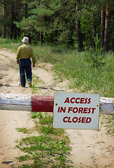 Image showing Man goes into forest in fire-dangerous period, ignoring ban