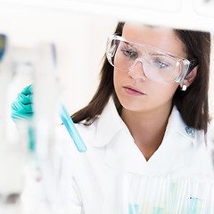 Image showing Young chemist in the laboratory.