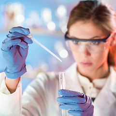 Image showing Attractive young scientist pipetting.