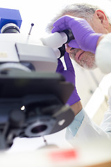 Image showing Senior scientist  microscoping in lab.