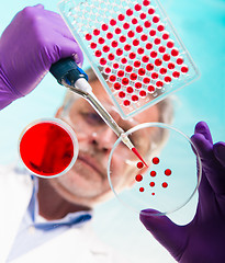 Image showing Senior life science researcher grafting bacteria.