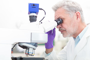 Image showing Senior scientist  microscoping in lab.