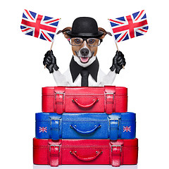 Image showing british dog