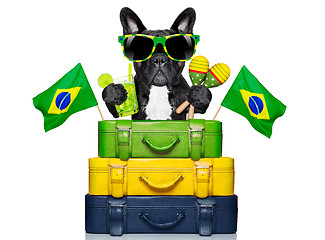 Image showing brazilian dog