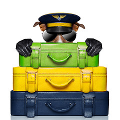 Image showing luggage captain dog