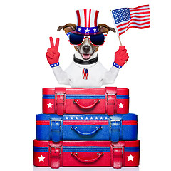Image showing american dog