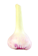 Image showing Bulb of garlic